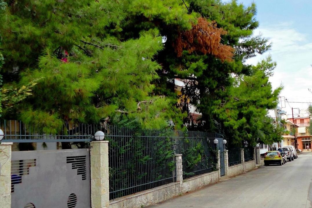 Photo of Others in Patras