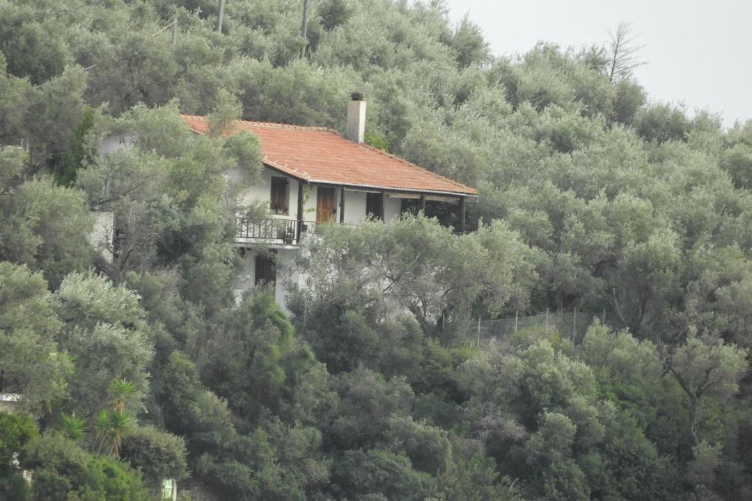 Photo of Others in Afissos