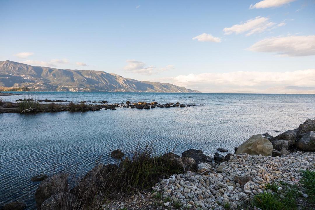 Photo of Others in Limni