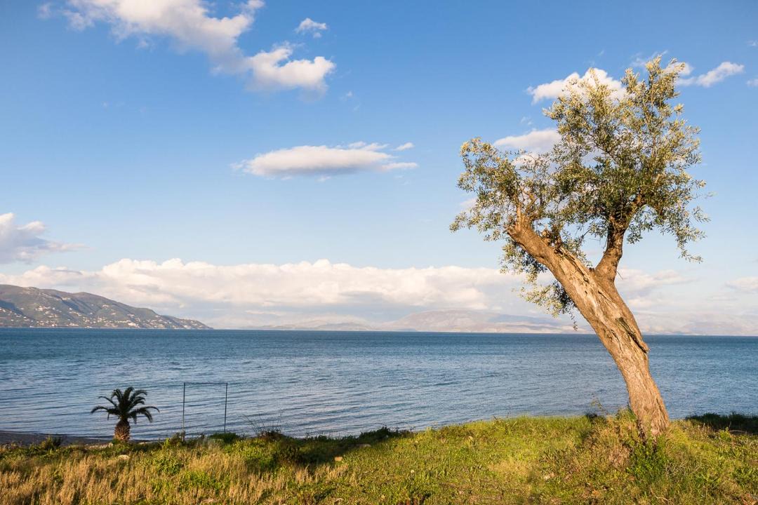 Photo of Others in Limni