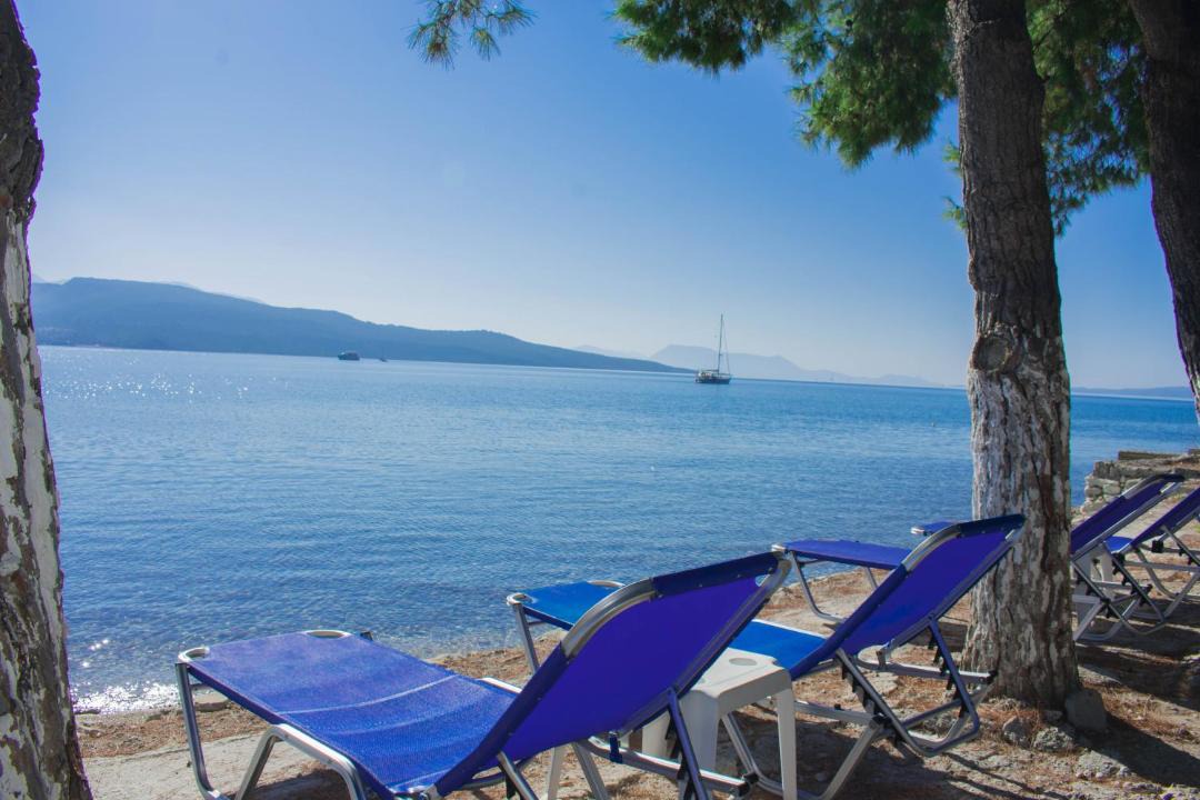 Photo of Others in Lygia