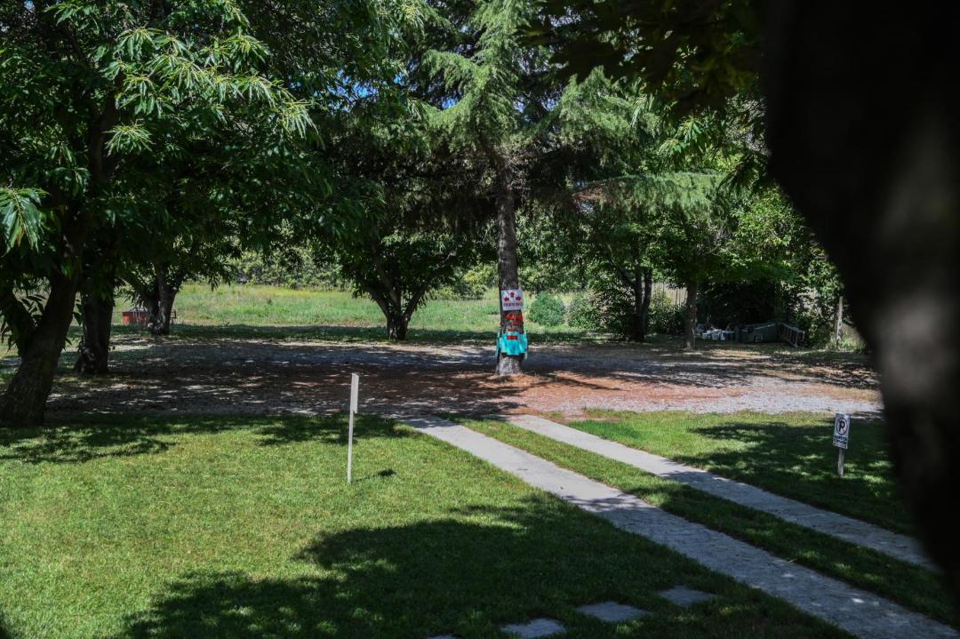 Photo of Others in Paralia Skotinis