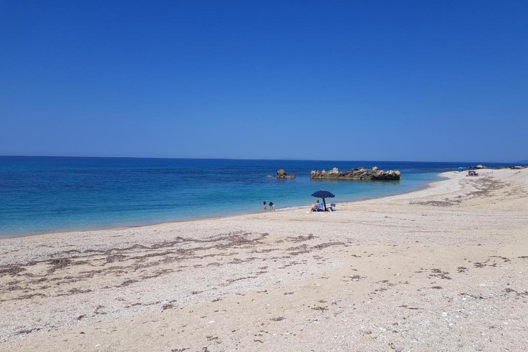 Photo of Others in Lygia