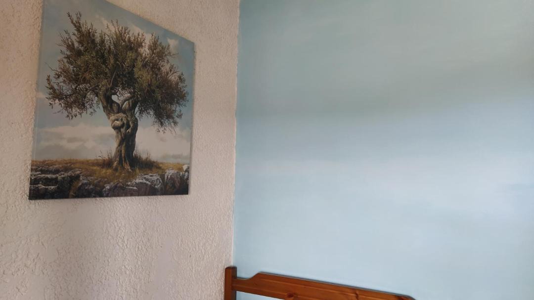Photo of Others in Skala Fourkas