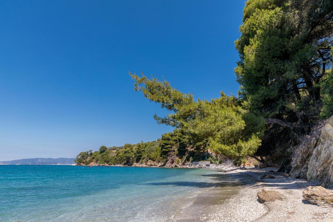 Photo of Others in Elios