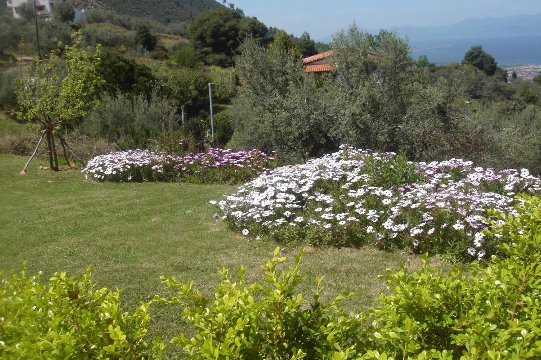Photo of Others in Aigialeia