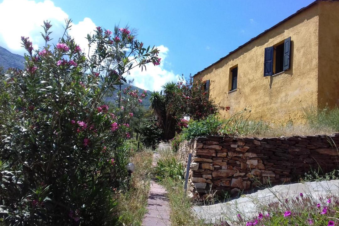 Photo of Buildings in Ikaria