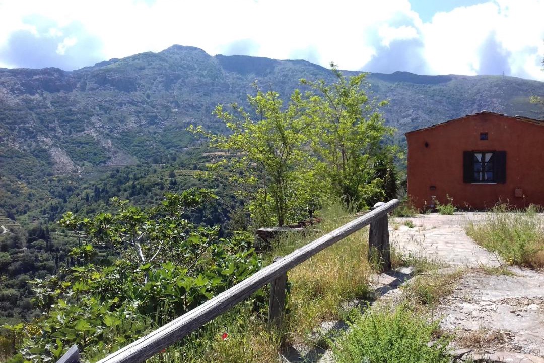 Photo of Buildings in Ikaria