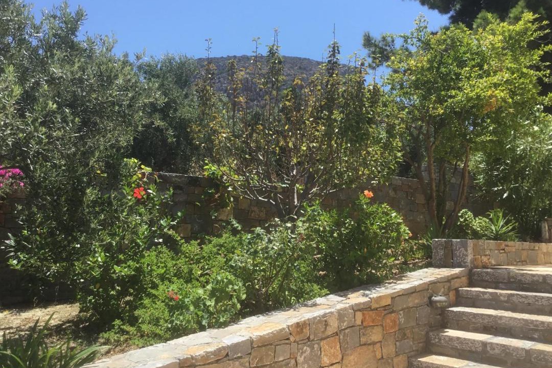 Photo of Others in Old Hersonissos