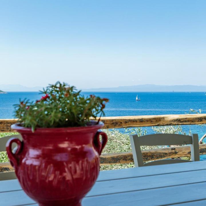 Photo of Others in Elios