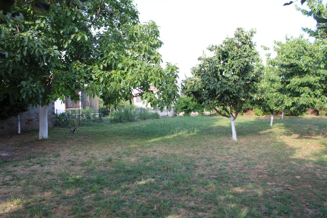 Photo of Outdoor in Nestos