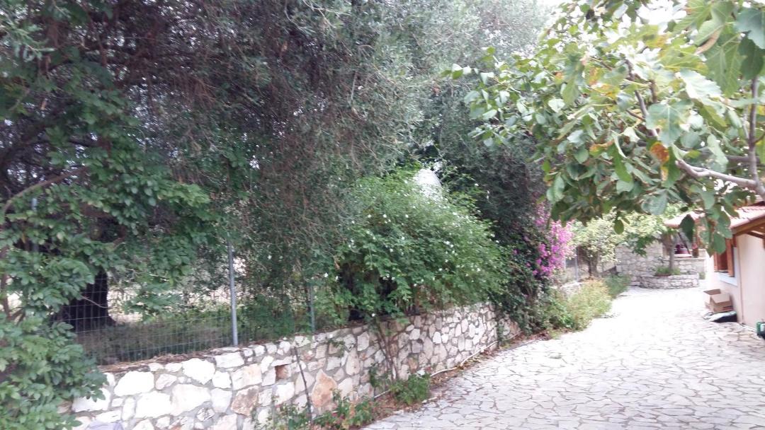 Photo of Others in Poulata