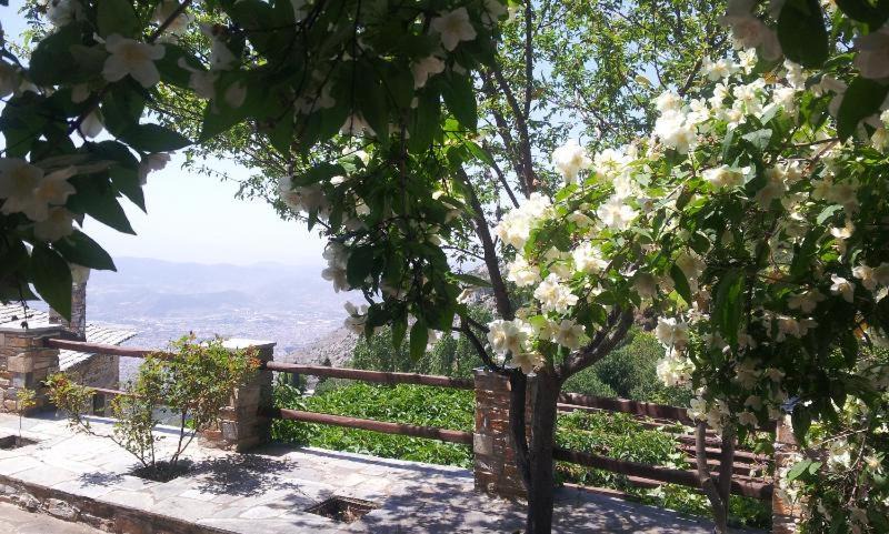 Photo of Outdoor in Makrynitsa