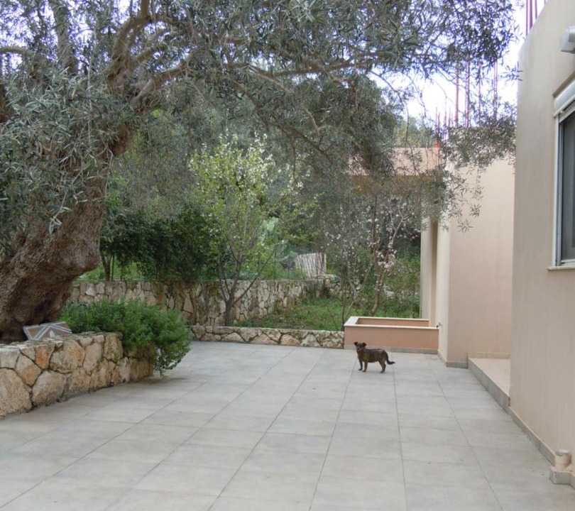 Photo of Others in Gerani