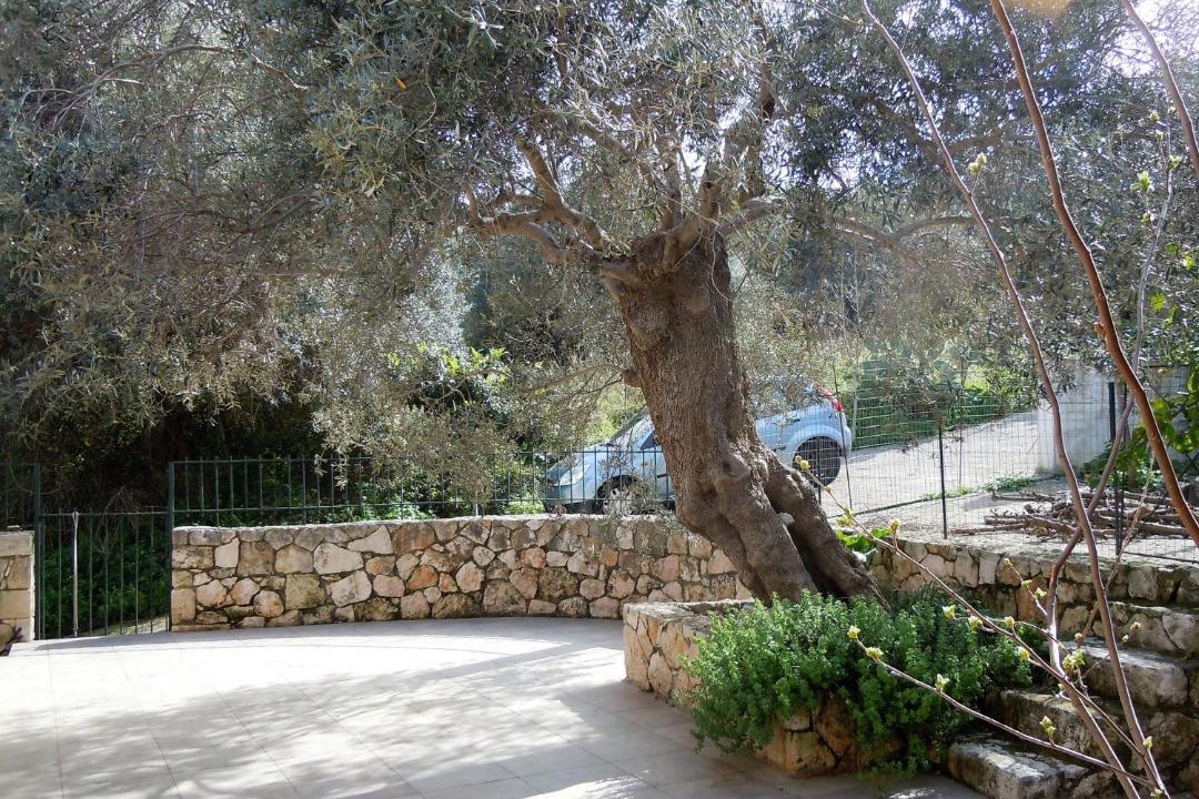 Photo of Others in Gerani