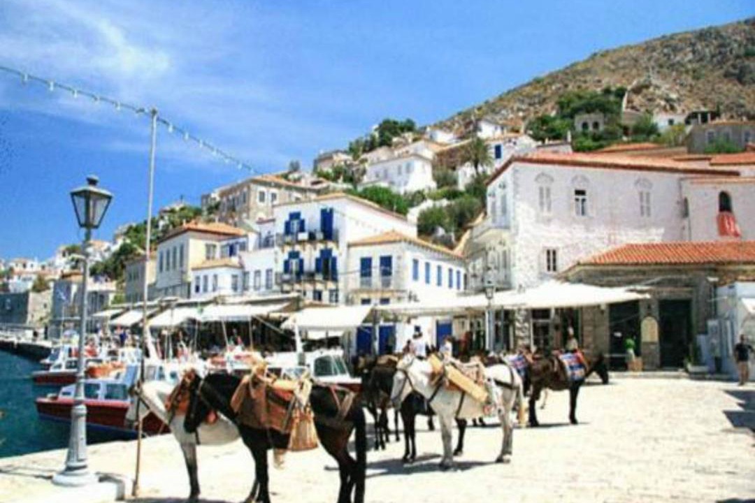 Photo of Others in idhra