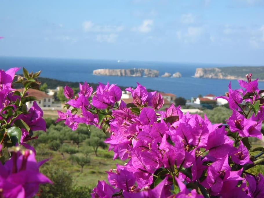 Photo of Others in Pylos