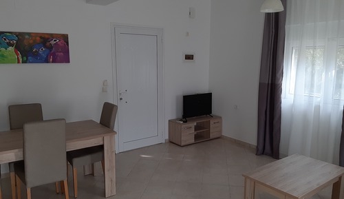 Basic Apartment
