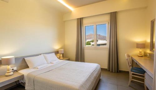 Deluxe One-Bedroom Apartment