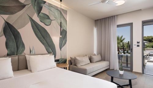 Economy Double Room on ground floor - pool view