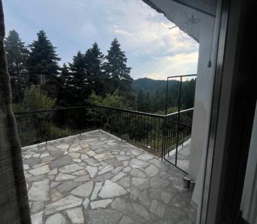 Central Tzoumerka Apartment | Ble Elia Biziersa