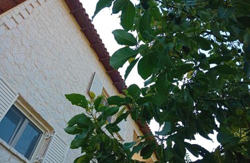 Evrostina House | Holiday Garden Home - wenige Schritte ans Meer