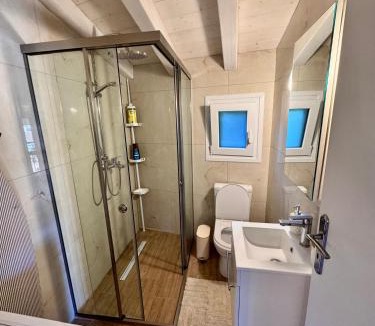 Aleimmatades House | To Moulari