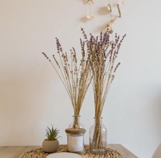 Chiliadou Apartment | Μπλε Rooms & Apartments