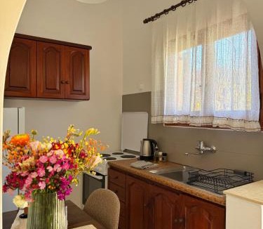 Agios Stefanos Avliotes Apartment | Katerina's Apartments