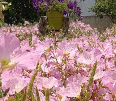 Agios Vlassios House | Mikros Paradisos Pelion
