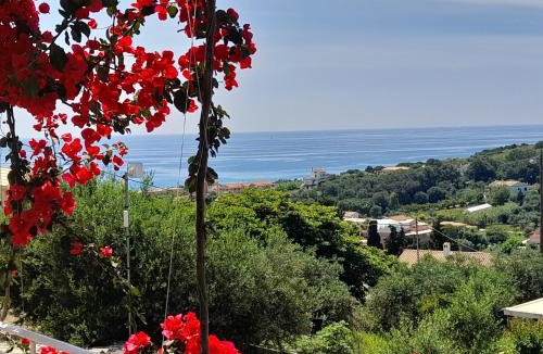 Arillas Apartment | Angelos aparts