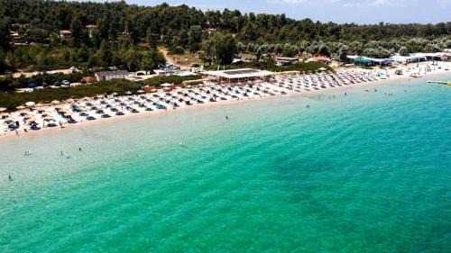 Kassandra Other | Paliouri Camping