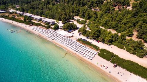 Kassandra Other | Paliouri Camping