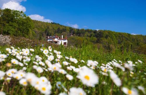Naousa House | Militsa Guesthouse