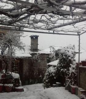 Tsepelovo House | Guesthouse Gouris