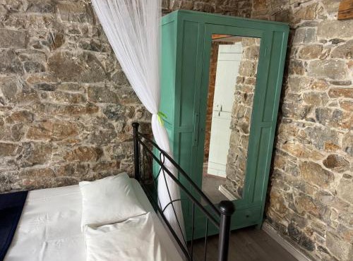 Anthemis home I