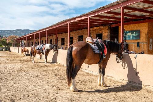 Horse Farm House - 5 Min to the Beach